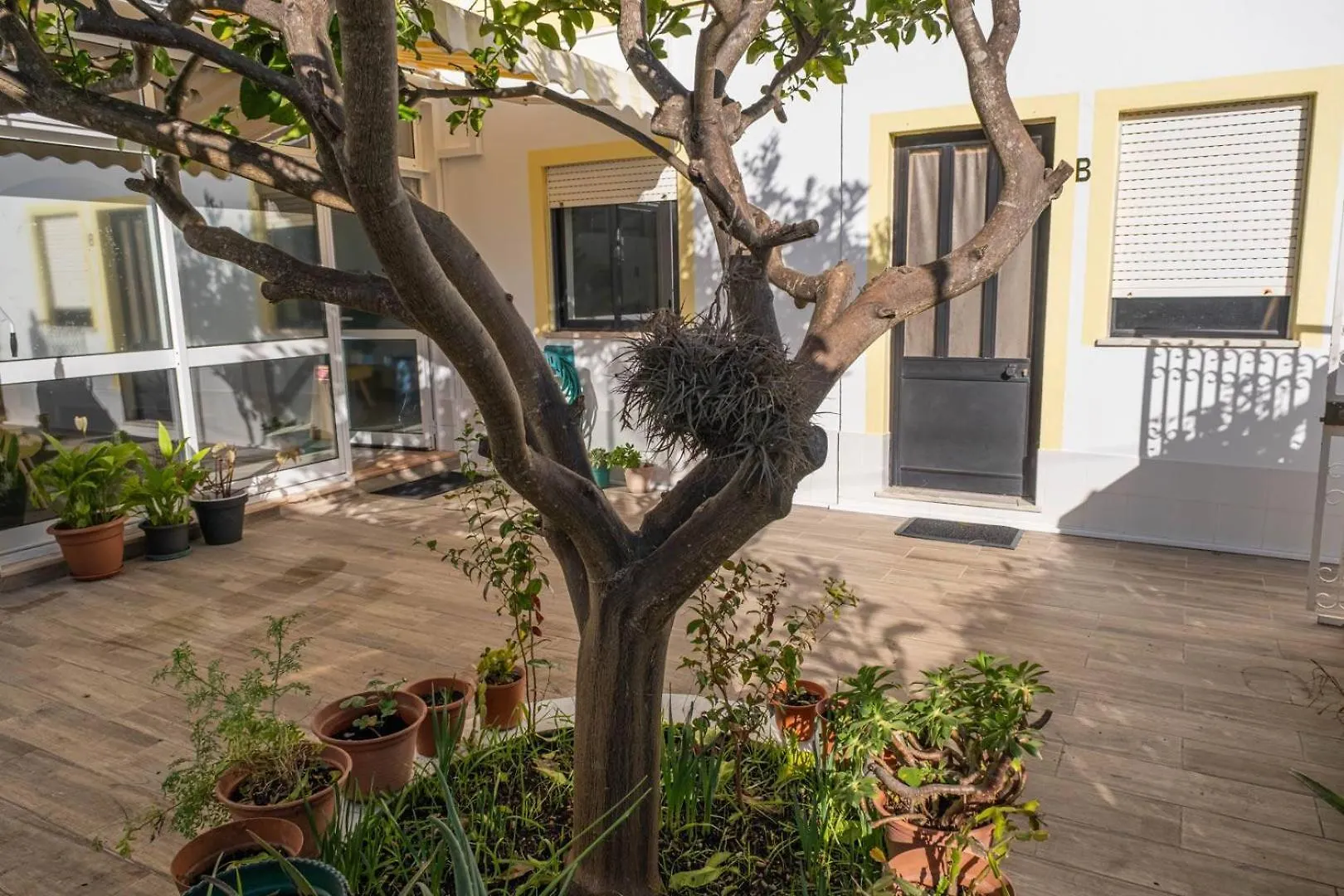 Penzion Hotel Alvor Lemon House
